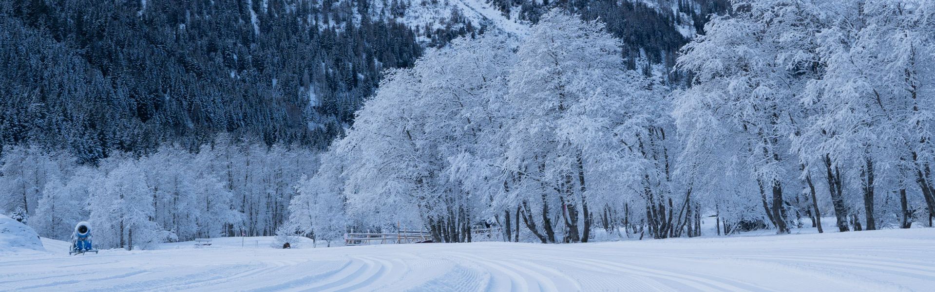 Piste pian Chèbia